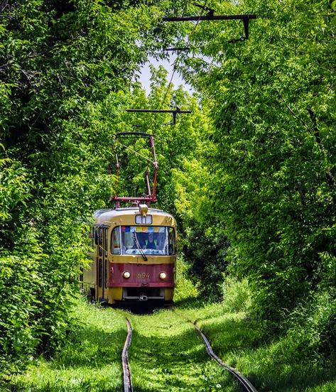 Yekaterinburg Russia, Plant Training, New Urbanism, Railway Track, Abandoned Train, Scenic Railroads, Train Pictures, Aesthetic Japan, Train Journey