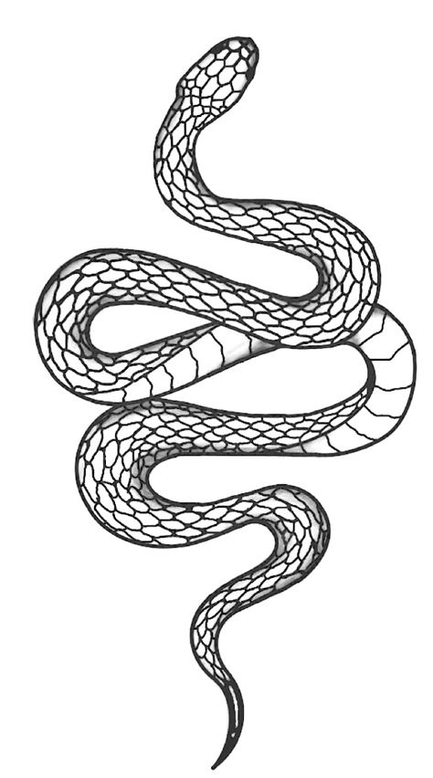 Traditional Snake Tattoo, Serpent Tattoo, Snake Tattoo Design, Stylist Tattoos, Tattoo Outline, Snake Tattoo, Permanent Tattoo, A Snake, Tattoo Designs For Women