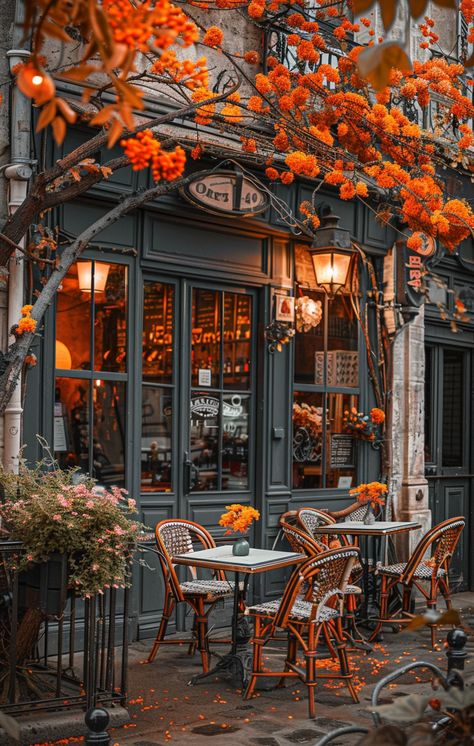 Autumn Bookstore, Autumn Coffee Shop, Autumn Town, Autumn Cafe, Halloween Live Wallpaper, Outside Aesthetic, Beautiful Cafe, Inspiring Places, Nature Autumn