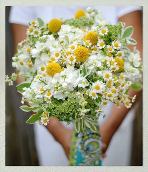 Bouquet Daisies, Spring Wedding Bouquets, Spring Wedding Bouquet, Summer Wedding Bouquets, Daisy Wedding, Daisy Bouquet, Summer Bouquet, Diy Wedding Bouquet, Spring Bouquet