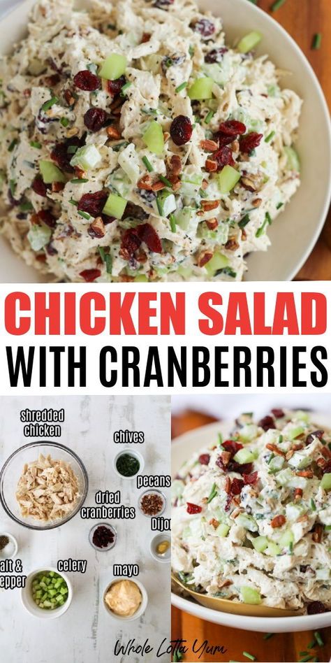 Chicken Salad With Cranberry, Chicken Salad Craisins, Chicken Salad Cranberries Pecans, Chicken Salad With Cranberries And Pecan, Publix Chicken Salad Recipe, Chicken Salad Recipe With Cranberries, Cranberry Chicken Salad Recipe, Chicken Salad With Cranberries, Craisins Recipes