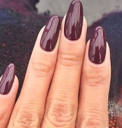 love the almond burgundy nails, so perfect for fall & winter Almond Burgundy Nails, Nail Designs Fall Gel, Fall Almond Nails, Nails Burgundy, Oval Nails Designs, Manicured Nails, Winter Nails Acrylic, Nails Winter, Her Nails