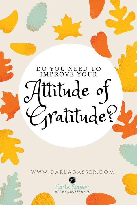 Learn what the Bible teaches about gratitude, take the Gratitude Challenge, and download a free printable! Friendship Articles, Youth Lessons, Gratitude Challenge, Jesus Heals, Daily Wisdom, Women's Ministry, Christian Devotions, Bible Devotions, Sunday School Lessons