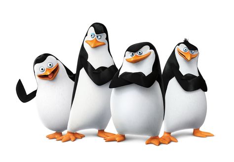 penguins of madagascar #4K #wallpaper #hdwallpaper #desktop Madagascar Penguins, Madagascar Movie, Penguin Wallpaper, Chinstrap Penguin, King Julien, Penguin Illustration, ポップアート ポスター, White Background Wallpaper, Penguins Of Madagascar