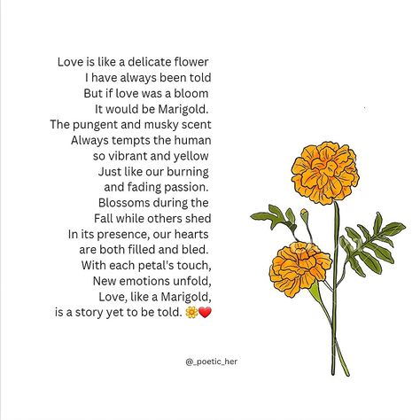 Marigold serenade Marigold Flower Quotes, Marigold Flower Meaning, Marigold Quotes, Marigold Meaning, Flower Meanings, Marigold Flower, Flower Quotes, Fruit Of The Spirit, Reminder Quotes