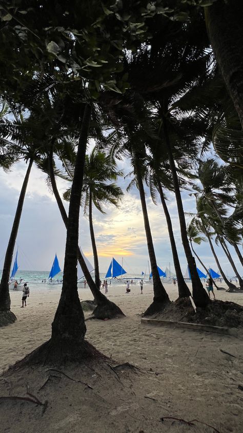 boracay, Philippines 🐚 Boracay Philippines, Morning Sunrise, Photos Tumblr, Boracay, By The Beach, Beach Pictures, Philippines, The Beach, Quick Saves