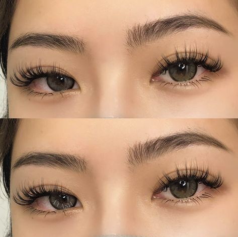 Natural Fake Eyelashes, Lashes Fake Eyelashes, Wispy Eyelashes, Lash Extensions Makeup, Lashes Extensions, Lash Extensions Styles, Eyelash Extensions Styles, Perfect Eyelashes, Doll Eye Makeup