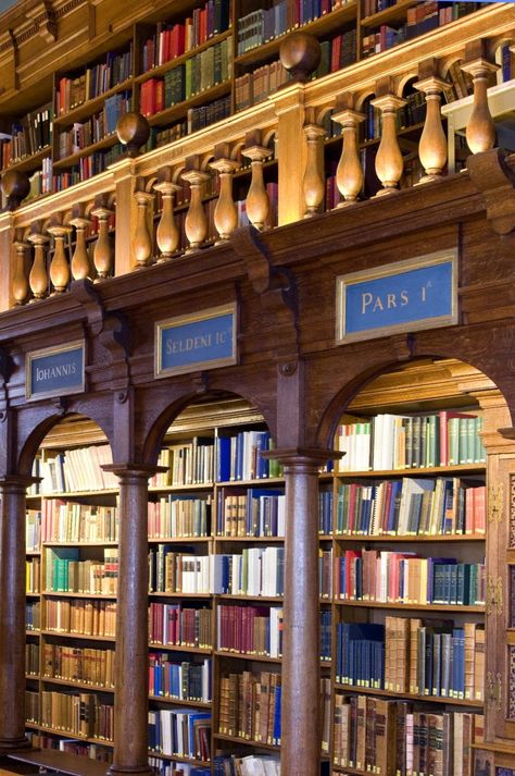 Reading Rooms, Souls Trilogy, Bodleian Library, University Of Oxford, British Literature, British Architecture, Beautiful Library, Old Library, A Discovery Of Witches