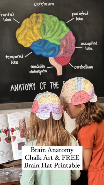 Brain Hat Printable Free, Nervous System Craft, Human Body Homeschool, Brain Hat, Homeschool Science Projects, Human Body Crafts, Hat Printable, Human Body Projects, Free Human Body