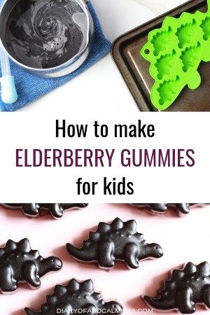 Elderberry Gummy Recipe, Elderberry Gummies Recipe, Gummy Recipe, Homemade Gummies, Elderberry Syrup Recipe, Homemade Elderberry, Elderberry Recipes, Shaped Fruit, Gummies Recipe