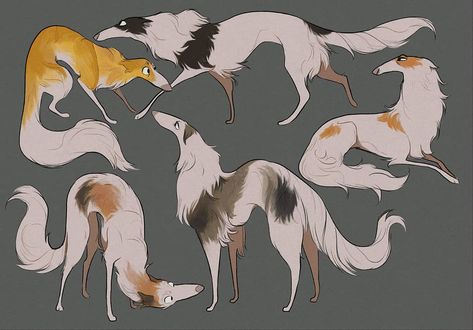 Long bois, Borzois #artistoninstagram #characterdesign #character #art #digitalart #dog #illustration Character Design Cartoon, Canine Art, Dog Illustration, Animal Sketches, Arte Fantasy, Dog Drawing, Creature Art, 귀여운 동물, Art Reference Photos