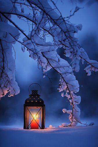 Sunday December Calls 🎵 – Chanda D🎨 Winter Szenen, Foto Tips, Winter Wallpaper, Winter Magic, Winter Scenery, Winter Beauty, Snow Scenes, Winter Pictures, Christmas Scenes