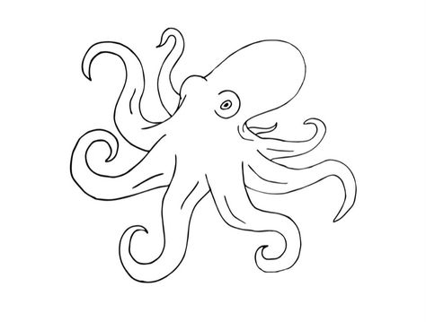 Octopus Drawing Sketches, Easy Octopus Drawing, Sketch Octopus, Octopus Stencil, Octopus Photography, Octopus Sketch, Octopus Drawing, Stencil Outline, Small Tats