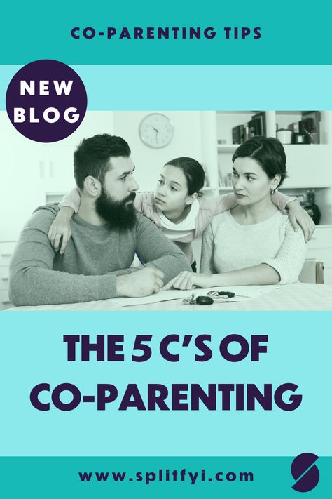 Parenting After Separation, Couples Therapy Worksheets, Divorce Tips, A Separation, Divorce Support, Rules For Kids, Blended Families, Divorce Advice, Parenting Goals