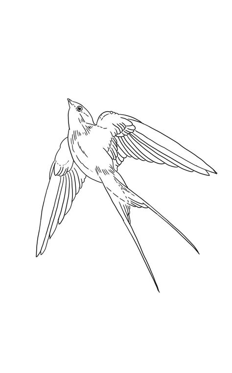 Swallow Line Drawing, Fineline Swallow Tattoo, Bird Stencil Tattoo, Bird Fine Line Tattoo, Swallow Outline, Tattoo Ideas Female Words, Bird Outline Tattoo, Golondrinas Tattoo, Lark Tattoo