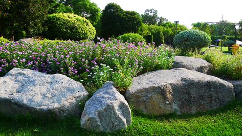 Grass Alternative, Lawn Alternatives, Growing Vines, Landscaping With Boulders, Tiered Garden, Low Maintenance Landscaping, Landscape Plans, Rain Garden, Flowering Shrubs