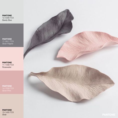 • Color Palette Summer, Pink Pantone, Colour Pallettes, Palette Summer, Nude Color Palette, Lash Brand, Blue Pantone, Palettes Color, Color Schemes Colour Palettes