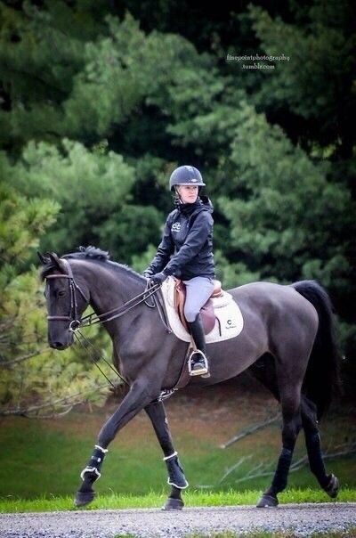 Equestrian Cottage, Horses Beautiful, Point Photography, Hunter Horse, Equestrian Aesthetic, Beautiful Horse Pictures, Equestrian Helmet, Horse Inspiration, Dressage Horses