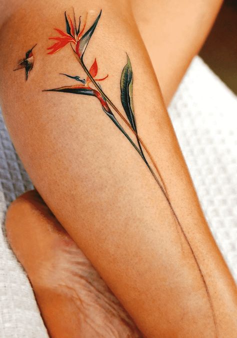 Hummingbird And Bird Of Paradise Tattoo, Bird Of Paradise Back Tattoo, Pride Of Barbados Tattoo, Small Bird Of Paradise Tattoo, Birds Of Paradise Flower Tattoo, Bird Of Paradise Plant Tattoo, Birds Of Paradise Plant Tattoo, Paradise Tattoo Design, Strelitzia Tattoo