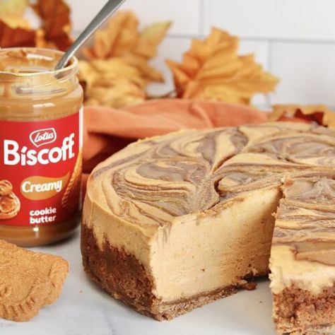 Biscoff Pumpkin Cheesecake - Sweet Girl Treats Biscoff Pumpkin Cheesecake Bars, Pumpkin Pie Biscoff Crust, Pumpkin Turtle Cheesecake, Cookie Butter Pumpkin Cheesecake, Pumpkin Biscoff Cheesecake, Pumpkin Cheesecake Bites Recipes, Pumpkin Cheesecake Biscoff Crust, Pumpkin Cheesecake With Biscoff Crust, Biscoff Pumpkin Pie