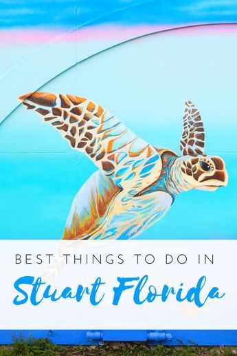 Martin County Florida Travel Guide - all the best things to do in and around Stuart | #Florida #usa Family Vacations Usa, Florida Vacation Spots, Stuart Florida, Florida Travel Guide, Treasure Coast, Central America Travel, Usa Travel Guide, Visit Florida, Usa Travel Destinations