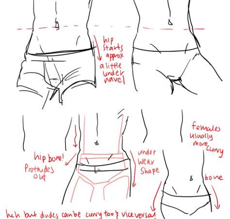 남성 근육, Anatomy Tutorial, Human Anatomy Art, Anatomy Sketches, Body Reference Drawing, Sketches Tutorial, Poses References, Arte Inspo, Figure Drawing Reference