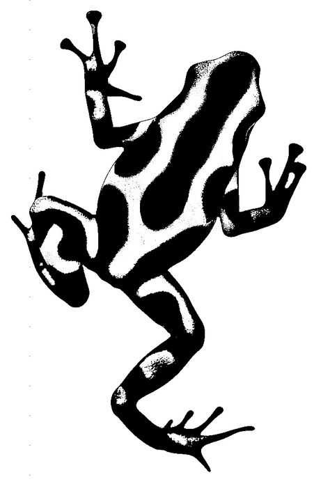 Poisonous Dart Frog Drawing, Big Nature Tattoo, Edgy Dog Tattoo, Frog From Above, Climbing Frog Tattoo, Black Frog Tattoo, Poison Frog Tattoo, Meditating Frog Tattoo, Reverse Tattoo Negative Space