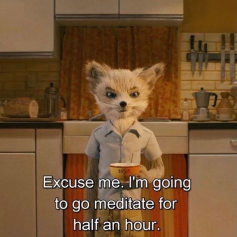 Fantastic Mr Fox, Septième Art, Film Anime, I Love Cinema, Mr Fox, Film Quotes, Wes Anderson, Excuse Me, Psych