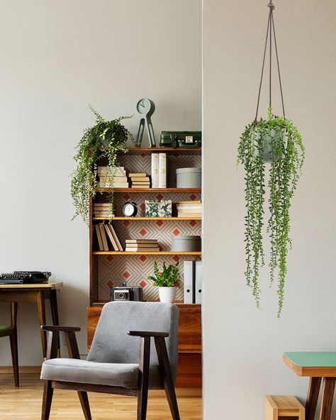 Elevate your decor with our Hanging Ivy Necklace. 🌿 Suspended by a leather cord in a ceramic vase, it requires no water, no sunlight, and no maintenance! The perfect accent piece for your home or office! 🏡🖥️ Discover all our other hanging plants at www.lepresent.com. ✨ ____ Rehaussez votre décor avec notre Collier de lierre suspendu. 🌿 Accroché par une corde en cuir dans un vase en céramique, il ne nécessite ni eau, ni lumière du soleil, ni entretien ! La pièce d'accent parfaite pour votre ... Ivy Plant, Ivy Plants, Hanging Necklaces, Green Ivy, Pillows Flowers, Faux Plants, Artificial Plants, Ceramic Vase, Accent Pieces