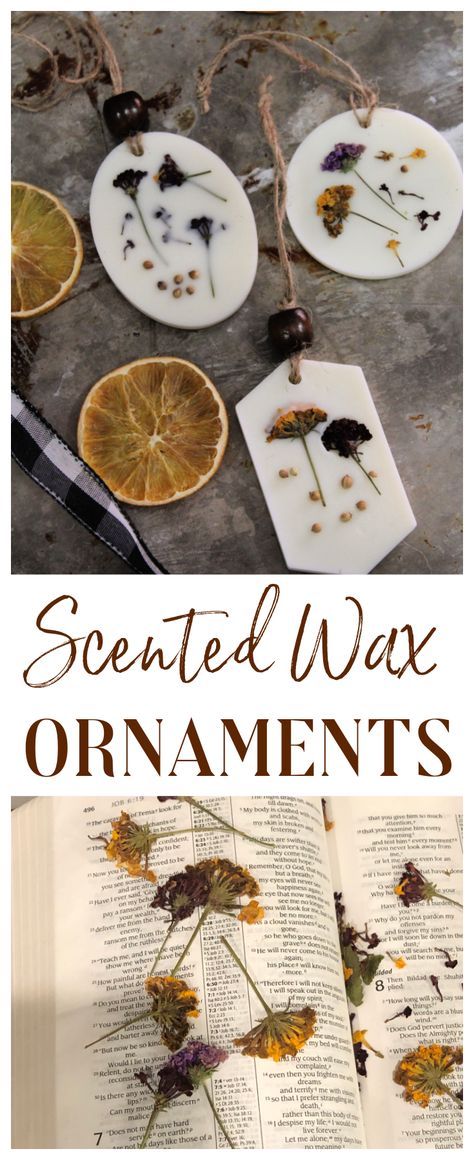 Scented Botanical Wax Ornaments – The CentsAble Shoppin Diy Scented Ornaments, Herbal Christmas Ornaments, Smell Good Christmas Ornaments, Scented Christmas Ornaments Diy, Herb Christmas Ornaments, Diy Nature Inspired Christmas Ornaments, Essential Oil Ornaments Diy, Beeswax Gifts Diy, Candle Ornament Diy