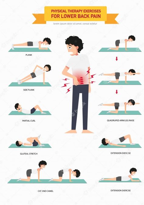 Premium Vector | Physical therapy exercises for lower back pain infographic, illustration. Exercises For Lower Back Pain, Exercises For Lower Back, Lower Back Pain Stretches, Rehabilitation Exercises, Therapy Exercises, Back Stretches For Pain, Physical Therapy Exercises, Lower Back Pain Exercises, Lower Back Pain Relief