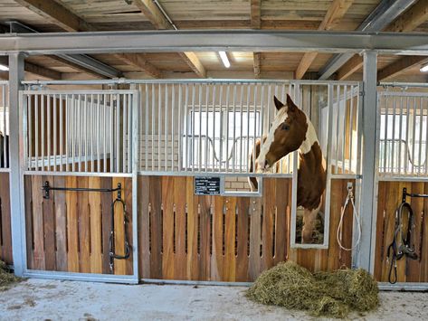 Stall Fronts Horse, Horse Stall Fronts, Livestock Barn, Equestrian Stables, Stall Fronts, Horse Farm Ideas, Horse Barn Ideas Stables, Barn Stalls, Paddock Paradise