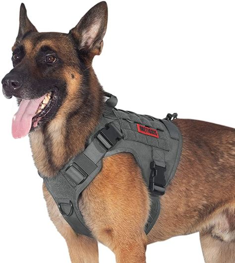 Dog Training Vest, Harness For Dogs, Dog Hiking, Tactical Dog Harness, Molle Straps, Dog Hook, K9 Dogs, Walking Harness, Molle Pouches