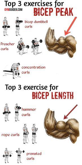 Big Biceps Workout, Bicep And Tricep Workout, Latihan Dada, Trening Sztuk Walki, Gym Antrenmanları, Gym Workout Chart, Bigger Arms, Gym Workouts For Men, Trening Fitness