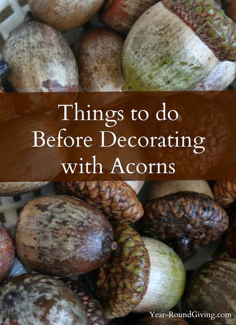 When I say I have a million acorns in my yard, I really mean I have a billion… Large Acorn Crafts, Fall Decor With Acorns, What To Do With Fallen Acorns, Acorn Table Decorations, How To Preserve Acorns, How To Decorate With Acorns, Craft With Acorns, Uses For Acorns, Crafts Using Acorns