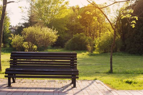 357 Summer Park Wooden Benches And Sunrise Stock Photos, Pictures & Royalty-Free Images - iStock Bench Background, Bench In Park, Park Reference, Park Benches, Park Background, Bench Aesthetic, Park Bench Ideas, Wooden Park Bench, Cartoon Garden