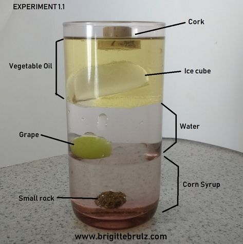 Simple Science Experiment: Density – Brigitte Brulz Density Science Experiments, Density Experiment For Kids, Science Projects Ideas, Chemistry Science Fair Projects, Simple Science Experiments For Kids, Density Experiment, Vetenskapliga Experiment, Simple Science Experiments, Biology Experiments