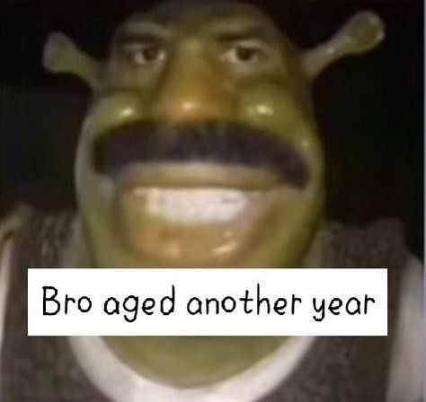 Birthday Wishes Memes Funny, Birthday Mood Meme, Birthday Cursed Image, Go Shawty Its Your Birthday Meme, Goofy Birthday Wishes, Happy Birthday Reaction Pic Funny, Happy Birthday Meme For Him, Shrek Happy Birthday Meme, Happy Birthday Funny Pictures