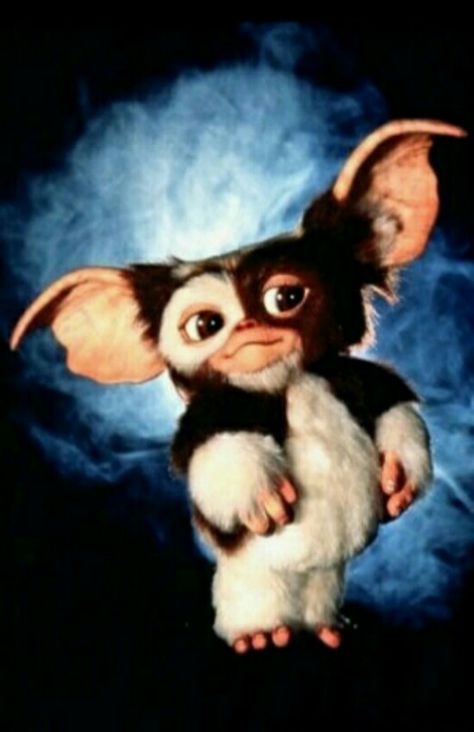 Gizmo from the movies Gremins phone wallpaper Gremlins, Blue