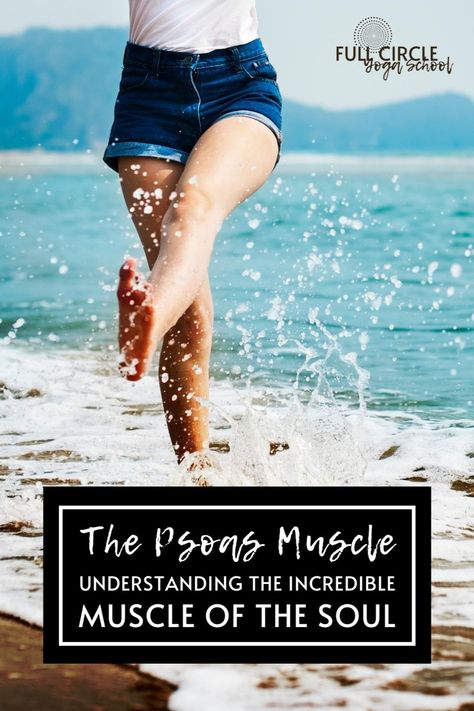 Psoas Muscle Of The Soul, Psoas Muscle Pain, Somatic Exercise, Thoracic Vertebrae, Yoga Anatomy, Psoas Muscle, Body Therapy, Emotional Body, Hip Pain