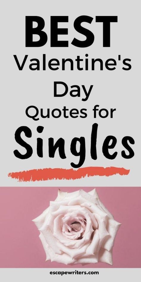 Don't you find a valentine? If you are alone on this valentine' day then read these best quotes about being single on Valentine's day. These quotes makes you feel that singlehood is not bad and girlfriend or boyfriend is not that important as you in your life.#valentinesday#quotes #love #single Being Single On Valentines Day Funny, Happy Valentine’s Quotes, Valentine’s Day Single Quotes, Funny Valentines Day Quotes Single Jokes, Valentines Single Humor, Single Valentines Day Quotes Funny, Funny Valentines Day Quotes Single, Single On Valentines Day Quotes, Valentines Day Single Quotes