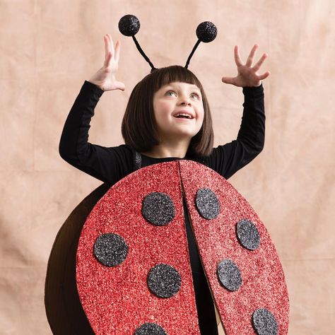 n i c o l e g e r u l a t on Instagram: “Little ladybug! Find this and many more simple cardboard Halloween crafts/costumes in the Oct @betterhomesandgardens magazine. 📸:…” Ladybug Costume Makeup, Diy Ladybug Costume, Diy Ladybug, Affordable Halloween Costumes, Spring Costume, Ladybug Costume, Easy Diy Halloween Decorations, Diy Halloween Costumes For Kids, Halloween Decorations Diy Outdoor