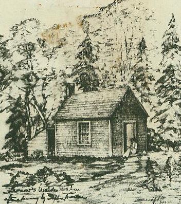 walden pond sophias-house-drawing2 Cabin Tattoo, Walden Pond, Small Cabins, Chinese Art Painting, Cabin Art, Design Building, Vintage Cabin, Park Trails, Vintage Camping