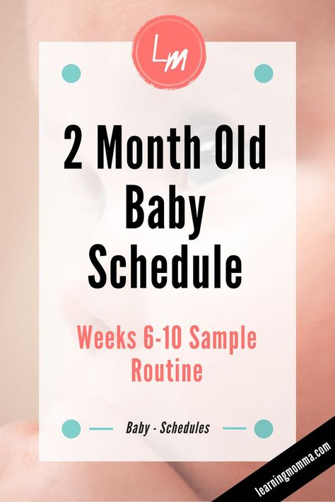 2 Month Old Schedule, Babywise Schedule, Two Month Old Baby, Baby Rolling Over, 2 Month Old Baby, Baby Wise, 2 Month Baby, Newborn Schedule, Baby Routine