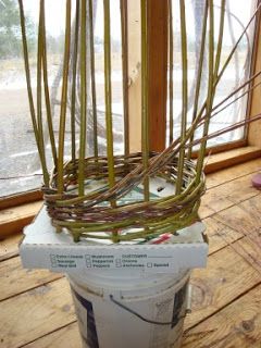 Wattle Fence, Willow Sticks, Willow Garden, Snow Cover, Making Baskets, Basket Weaving Diy, Northern Wisconsin, Willow Weaving, Pizza Box