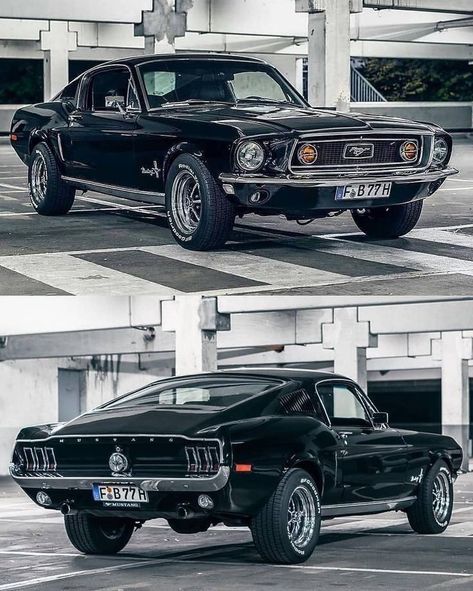 Mobil Mustang, 1968 Mustang, 1959 Cadillac, 2015 Mustang, Ford Mustang Shelby Gt500, Ford Mustang Fastback, Classic Mustang, Mustang Fastback, Shelby Gt500