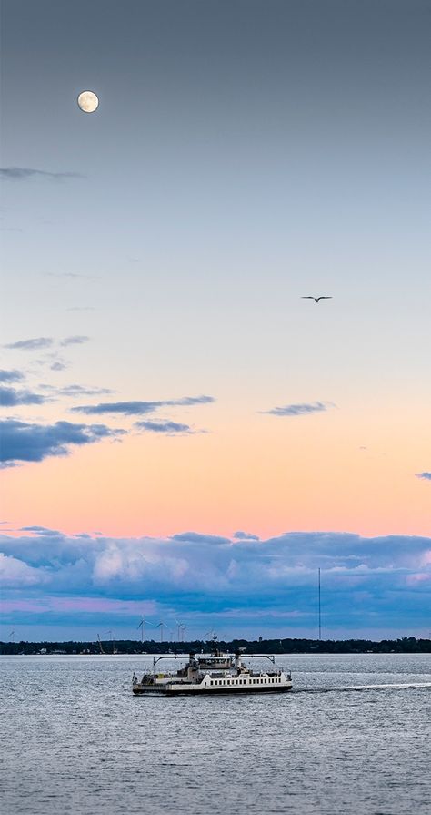 #Kingston, #Ontario, during quarantine 2021 . . . . . . . . . #ferry #moon #greatlakes #flyingbird #wolfeislanderiii #sunset Kingston Ontario Aesthetic, Ontario Aesthetic, Queen's University, Kingston Ontario, Birds Flying, Great Lakes, Kingston, Ontario, University