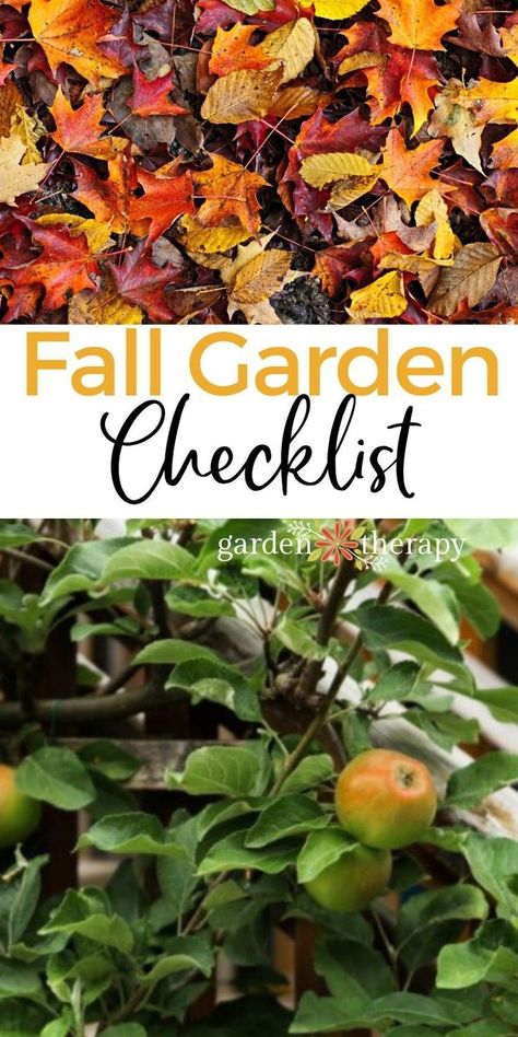 Fall Garden Preparation, Fall Garden Care, Fall Garden Checklist, Kitchen Garden Ideas, Homestead Garden Layout, Garden Checklist, Garden Preparation, Homestead Gardens, Fall Vegetables