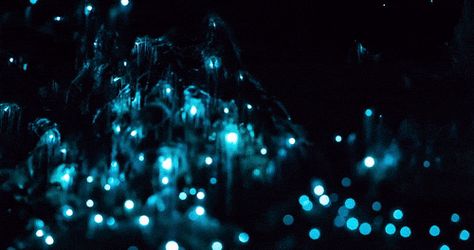 Glow Worm Cave gif Witches Aesthetic, Glow Worm Cave, Waitomo Caves, Glow Worm, Crystal Cave, Witch Aesthetic, Tumblr Posts, Wonders Of The World, Beautiful Pictures