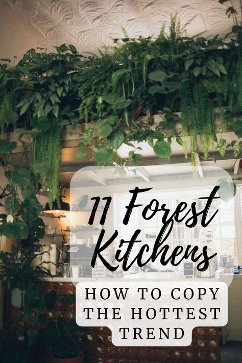 a forest kitchen with a wall of green plants above a window Dark Green Kitchen Accents, Hunter Green Kitchen Ideas, Green Vintage Kitchen Aesthetic, Dark Boho Kitchen Decor, Green Dark Kitchen, Nature Kitchen Decor, Dark Green Cottage Kitchen, Green Forest Kitchen, Kitchen Ideas Moody